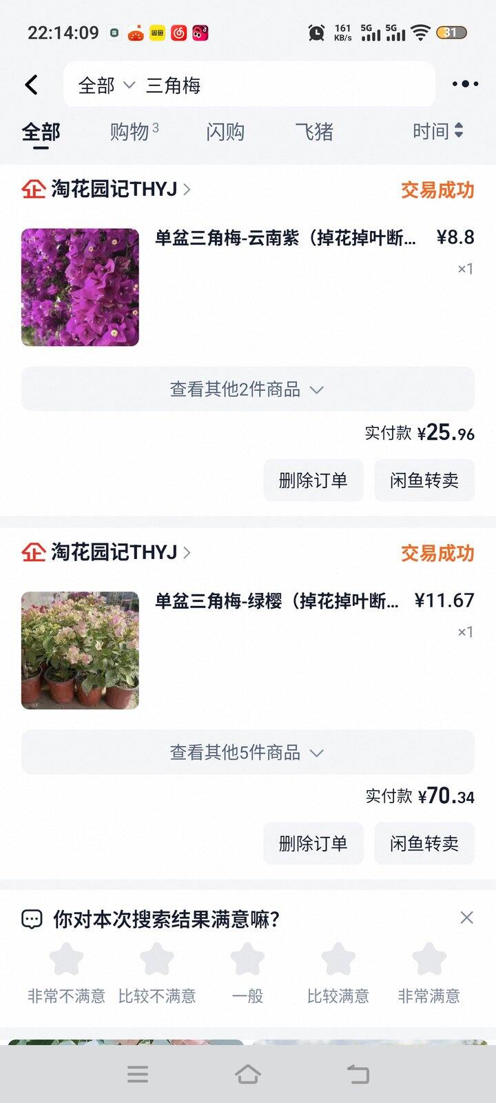 盘点最近买到的便宜绿植（第三波）