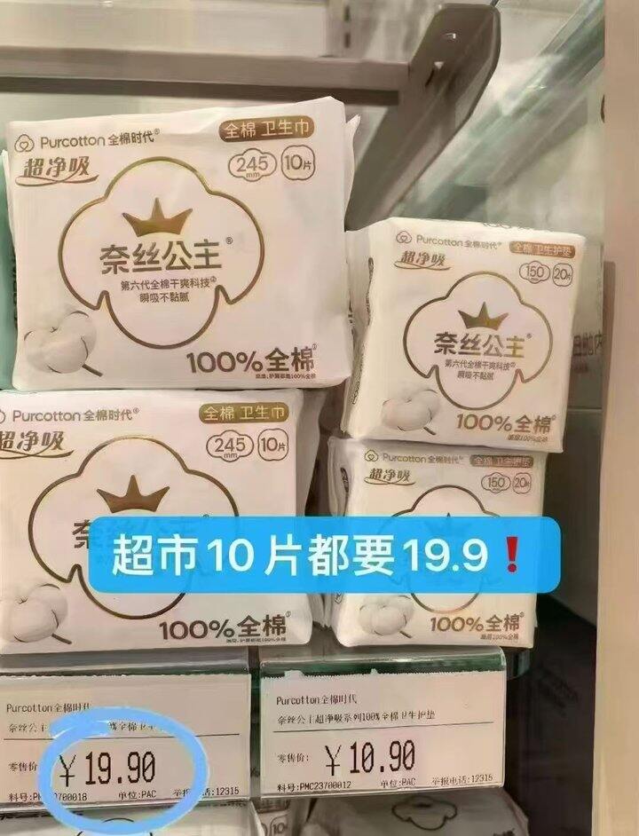 奈丝公主