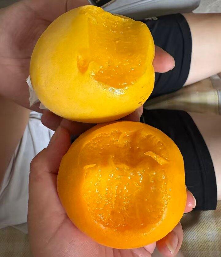 水果反馈
