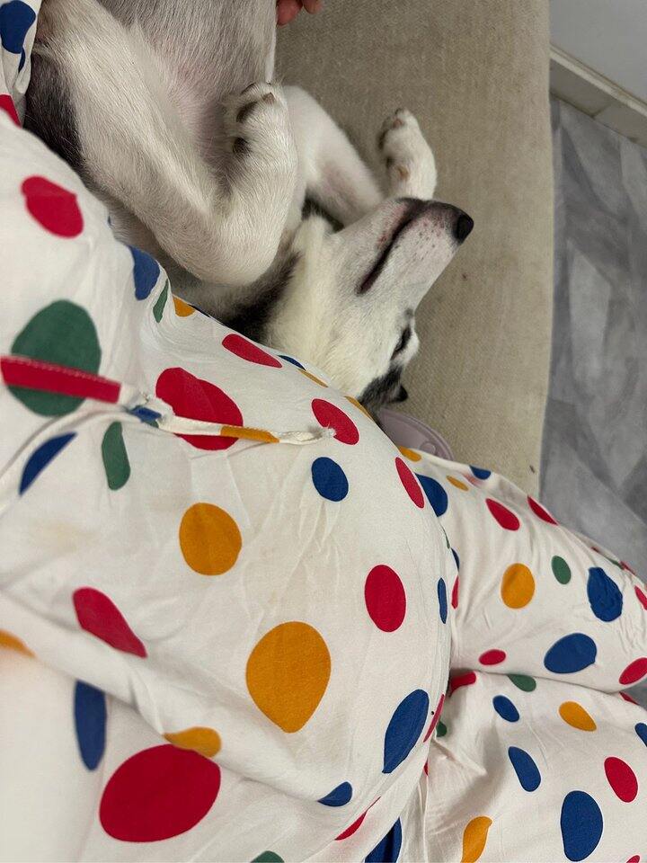 树洞