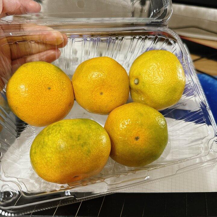 朴朴这个云南小蜜橘好吃
