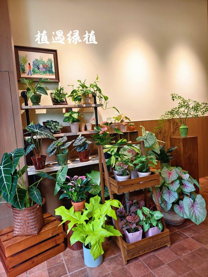 帅汤日记2026.8.18