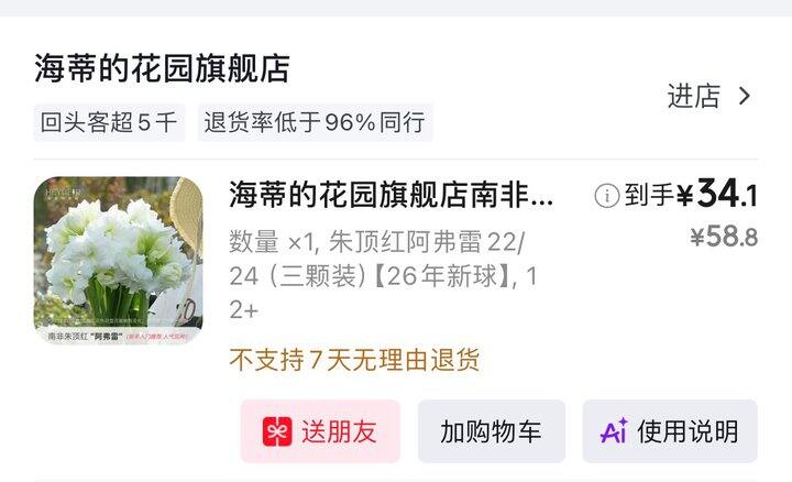 海蒂花园 阿弗雷朱顶红