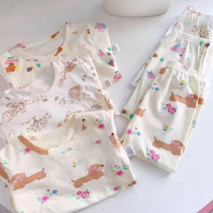 小猪大卫