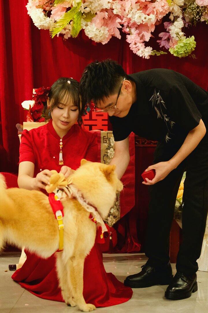 我订婚了