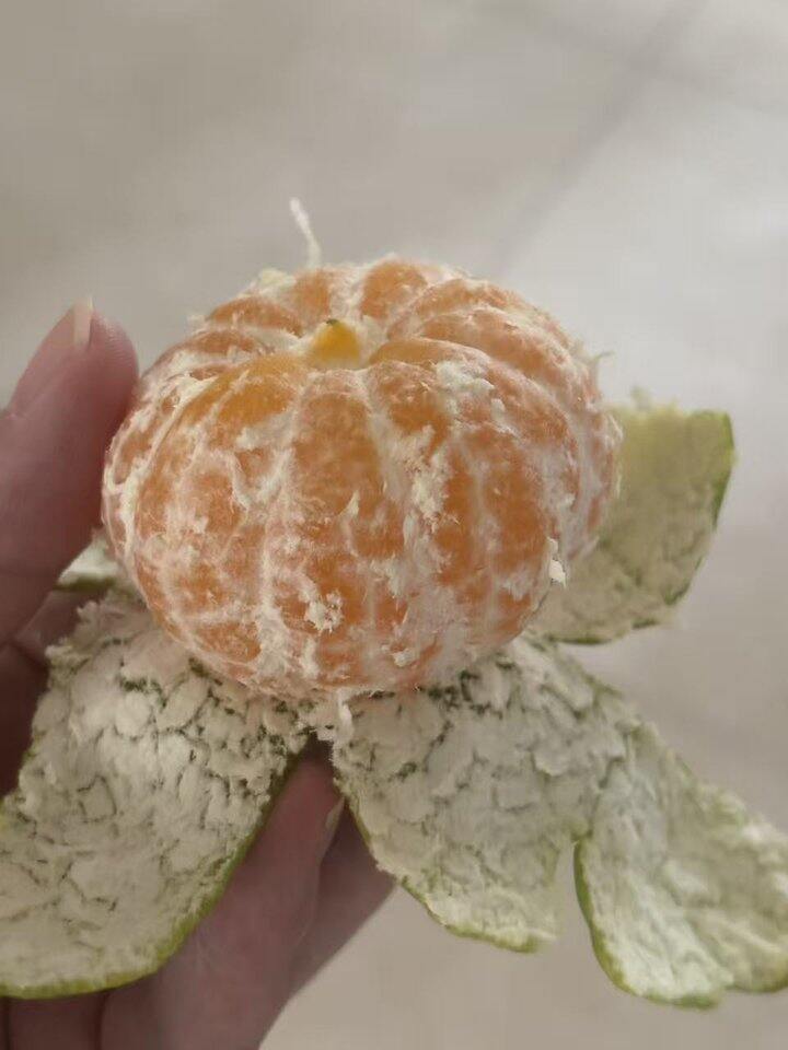 小时候的味道