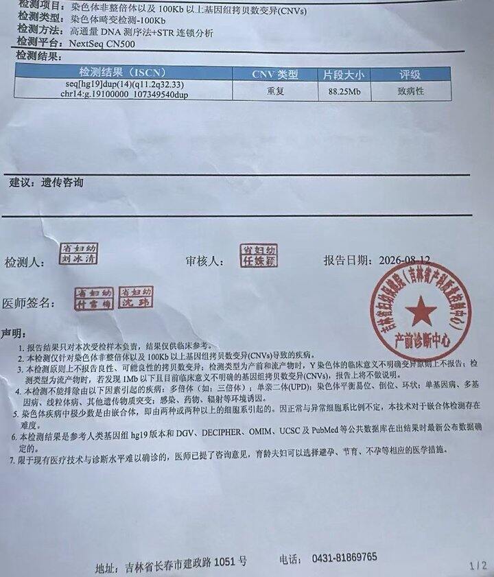 胚染结果