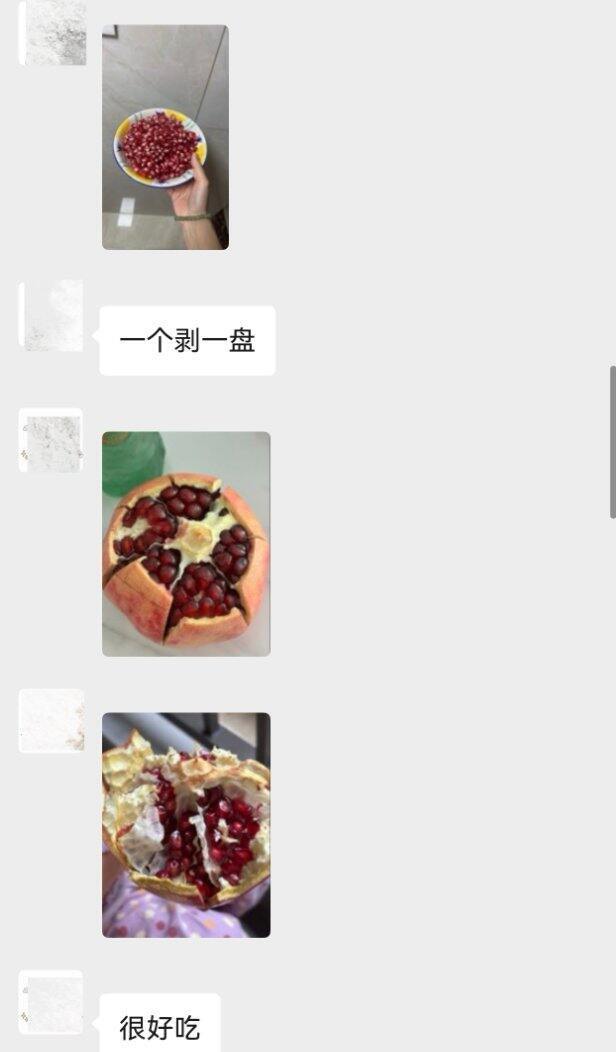 大家的红石榴反馈