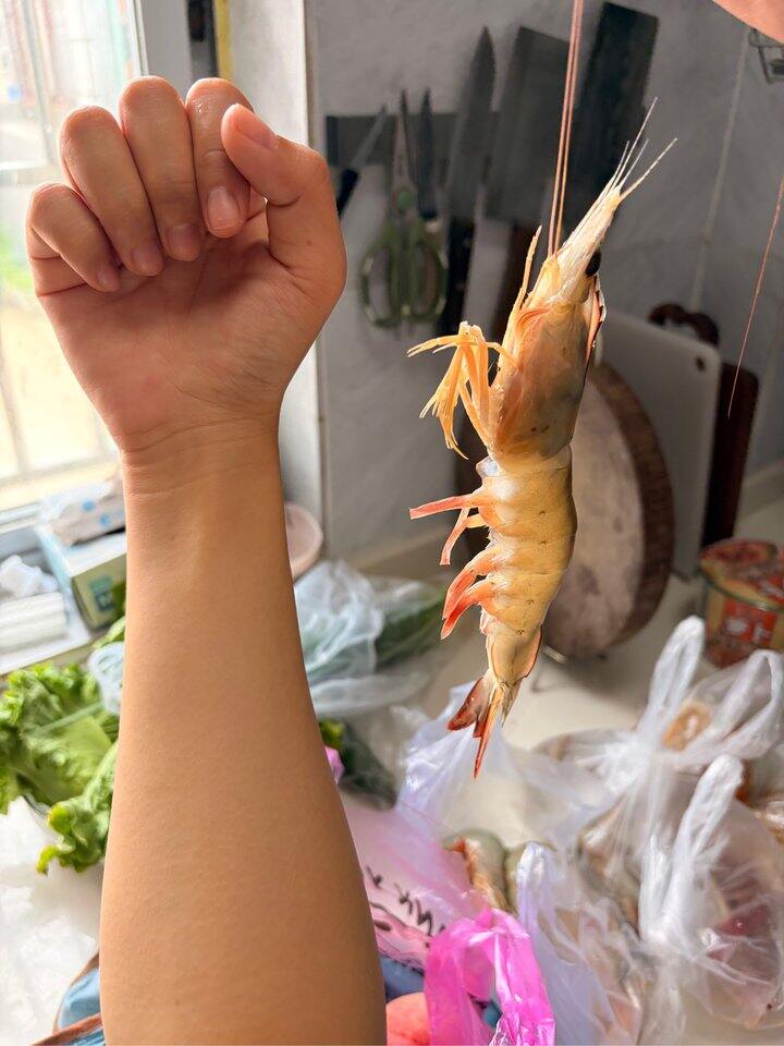 开海了，吃什么🦐🦀