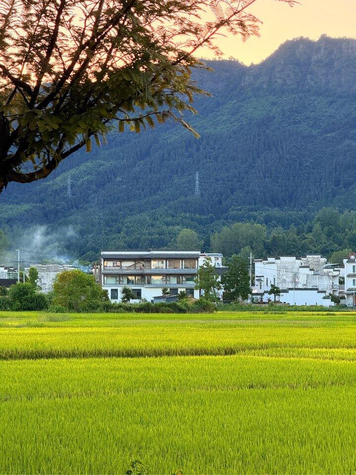 忽然已秋