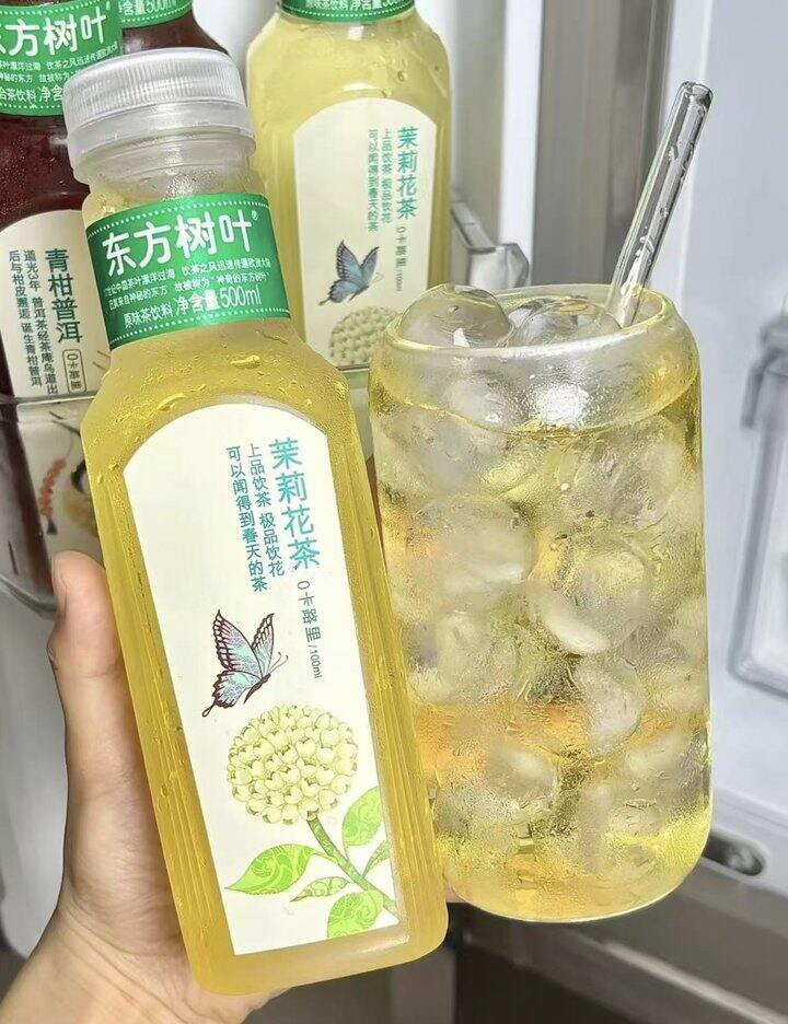 东方树叶🍂