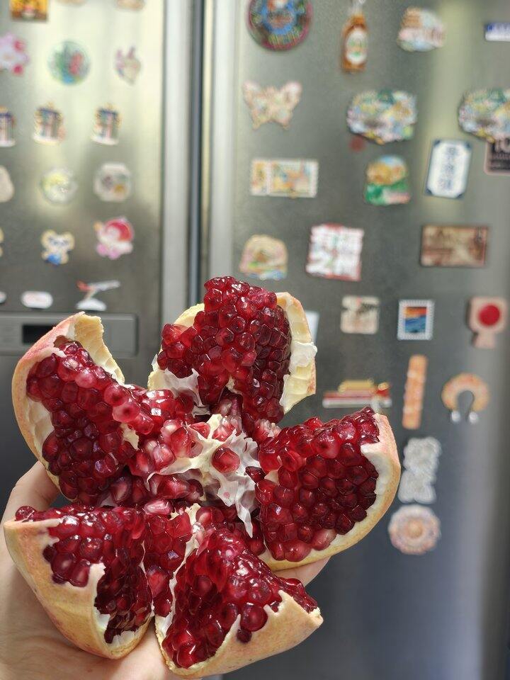 石榴晒单