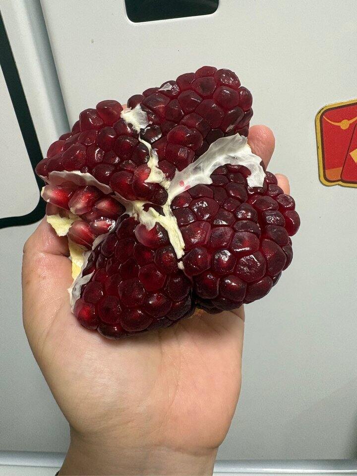石榴