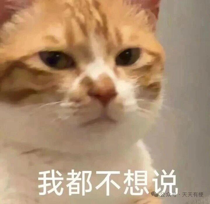 上班第一天