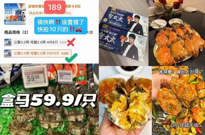 蟹太太的大闸蟹🦀
