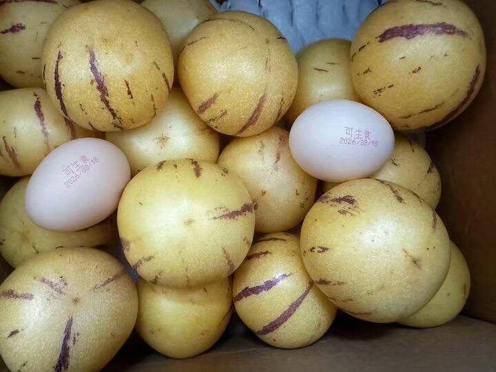 人参果
