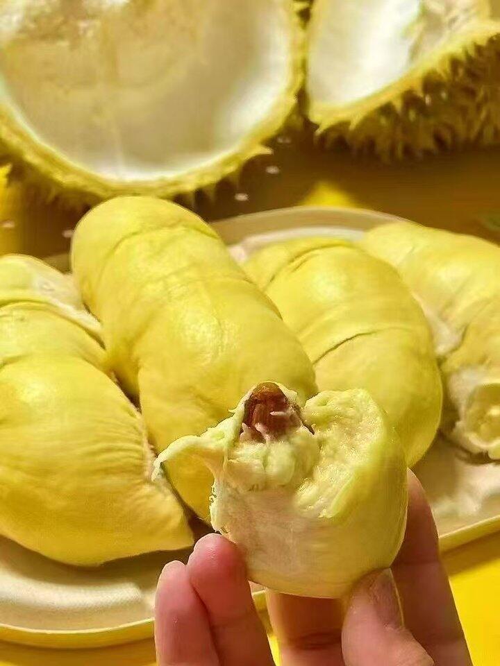 自营榴莲