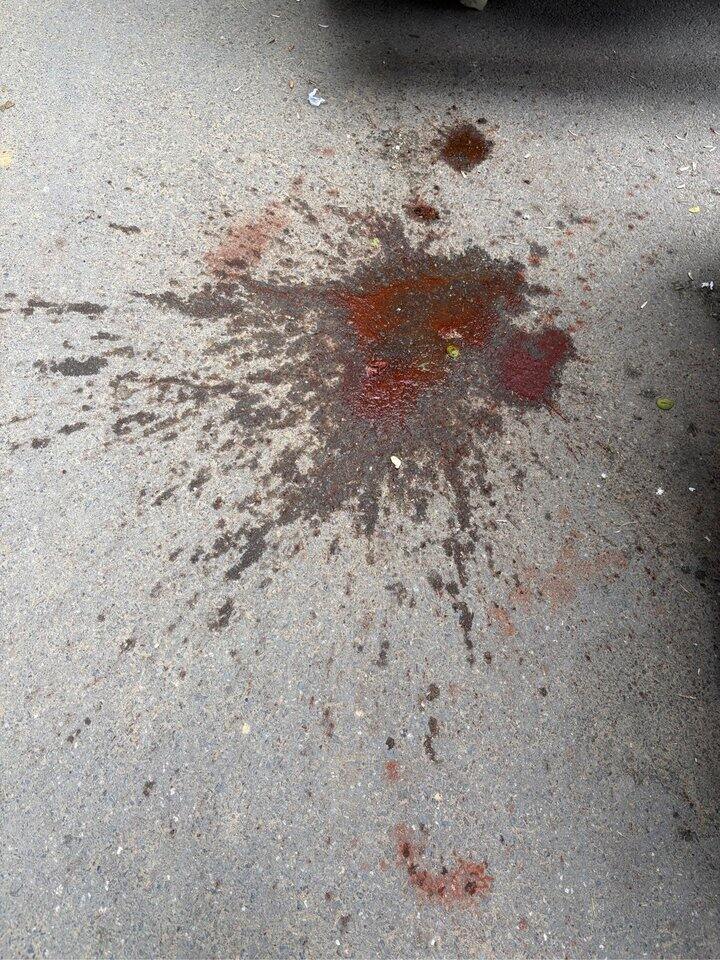 垃圾就是垃圾