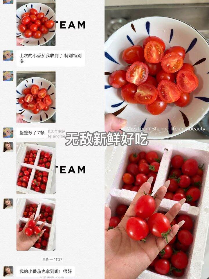 圣女果小番茄🍅！💰2+