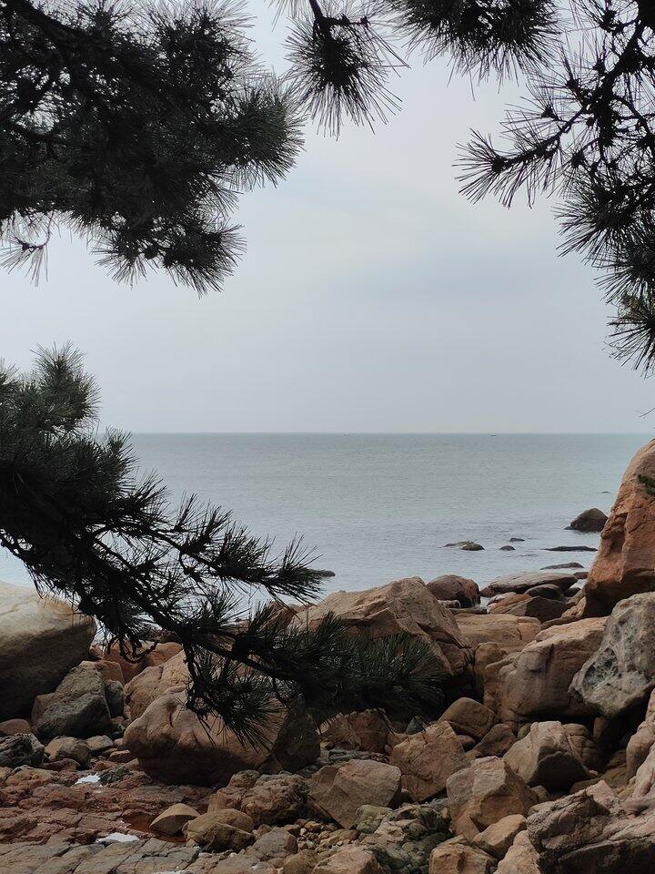 旅行的戒断反应好严重