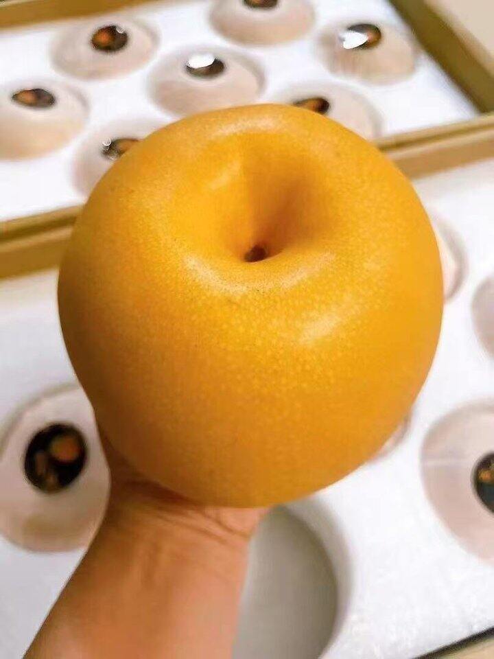 网购秋月梨成功！太好吃了！
