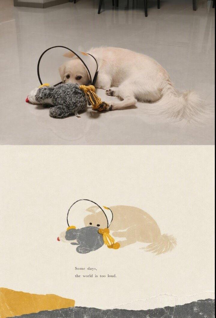 养小狗的反思