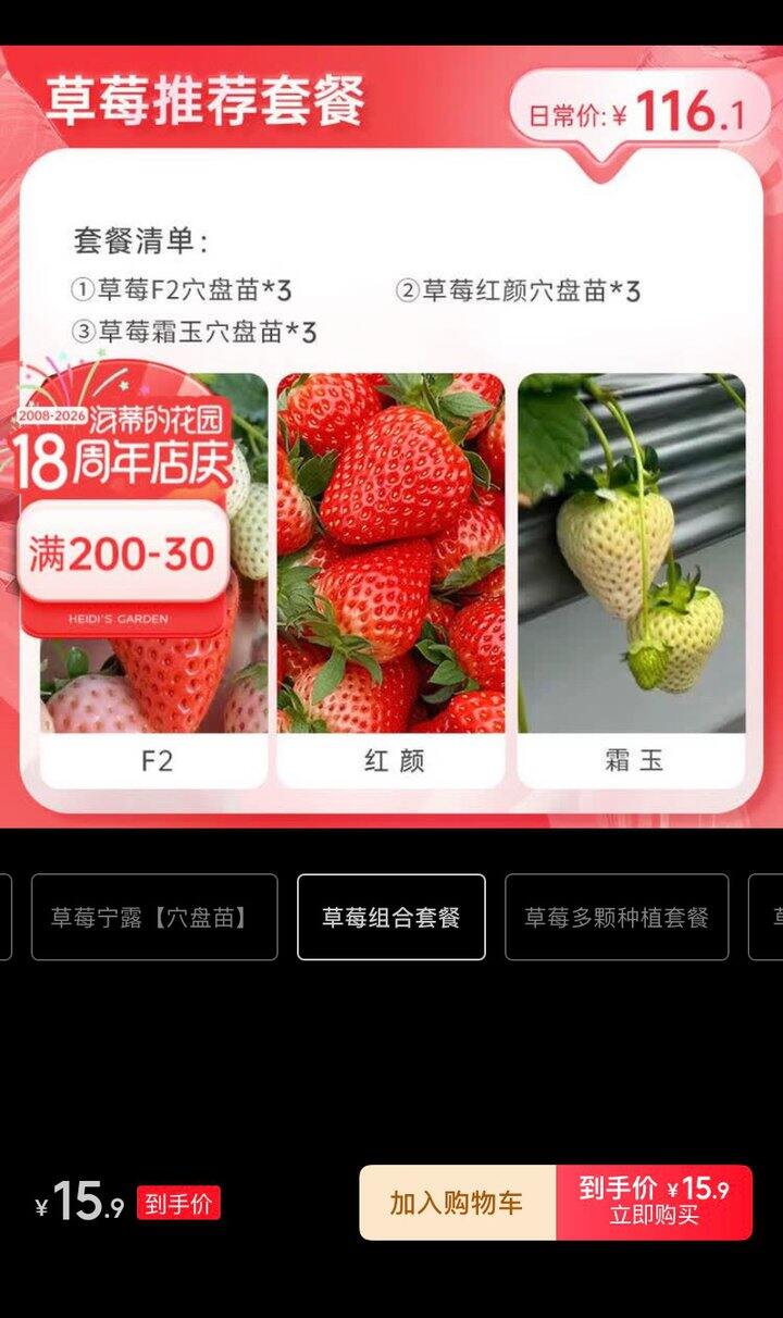 海妈家草莓穴苗9棵15.9