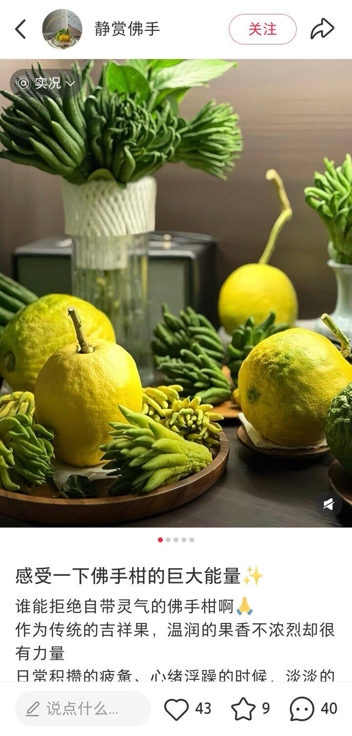 最近沉迷买佛手柑