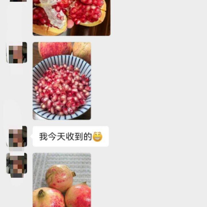 最近大家的石榴反馈限时抢购19.9元/箱  活动最后一天