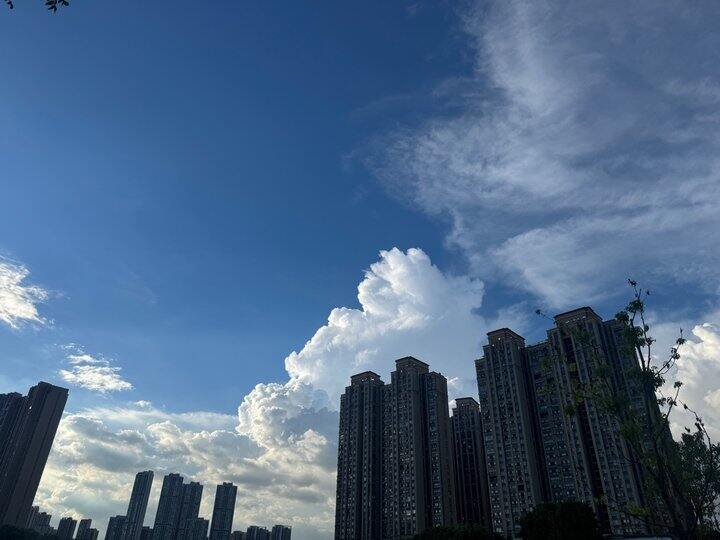 下班路上随想