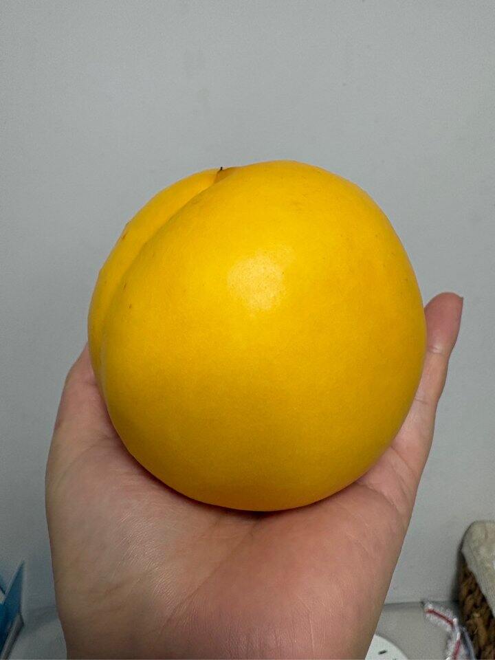 丹东油桃