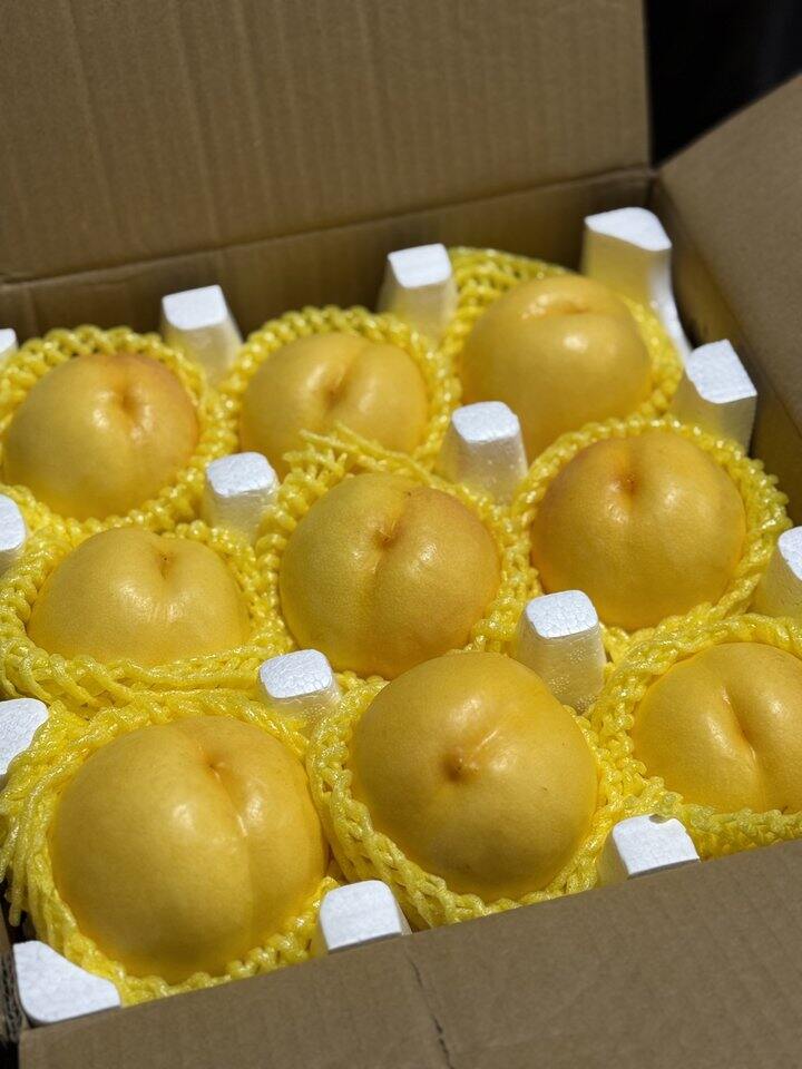 丹东桃子