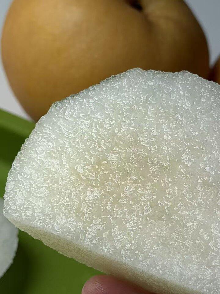 秋月梨