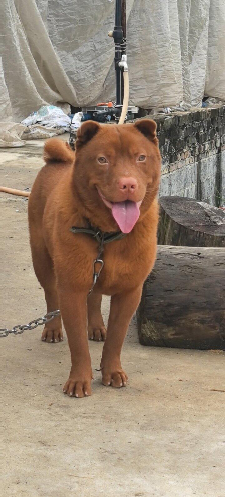可爱可爱☺