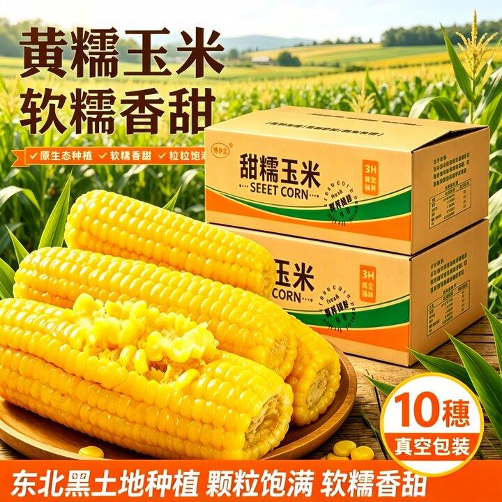 东北糯玉米6根9.9