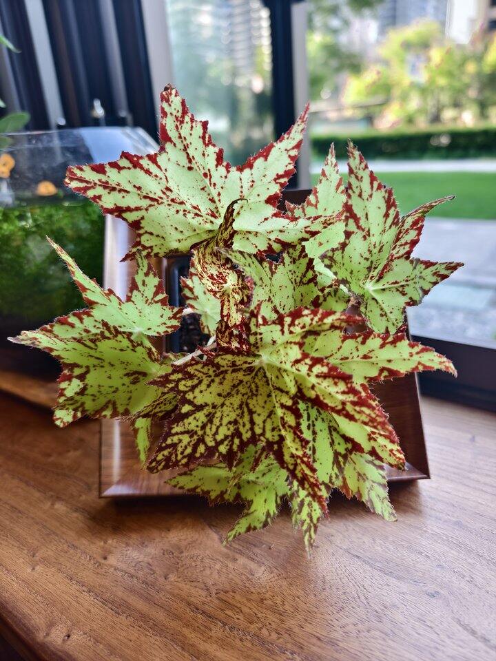 帅汤开店日记——第8天