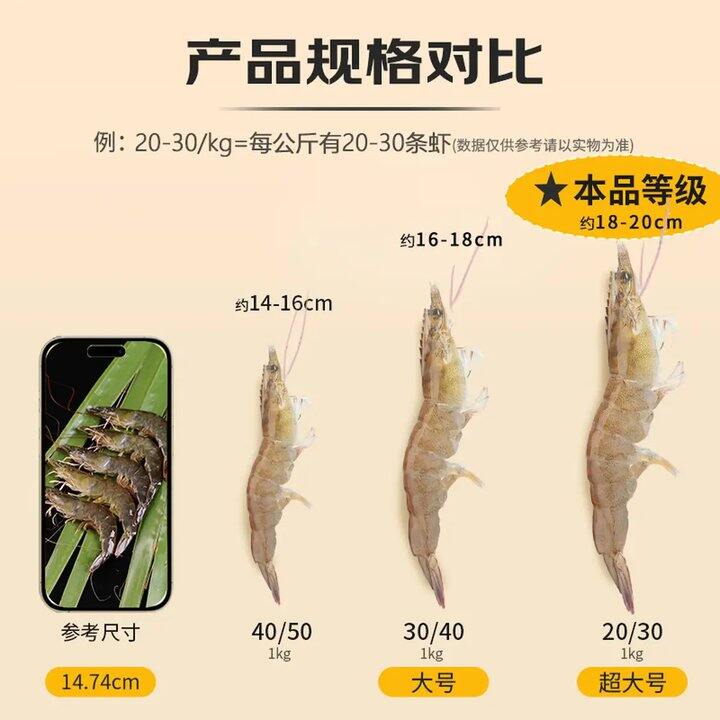 史低价！23.9/斤‼️高品质超大厄瓜多尔白虾，京东超市品质保证，快冲