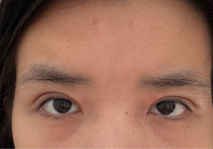 第二十天