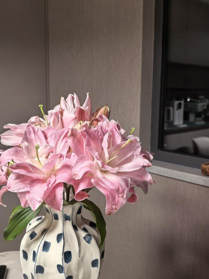 本周花花大赏