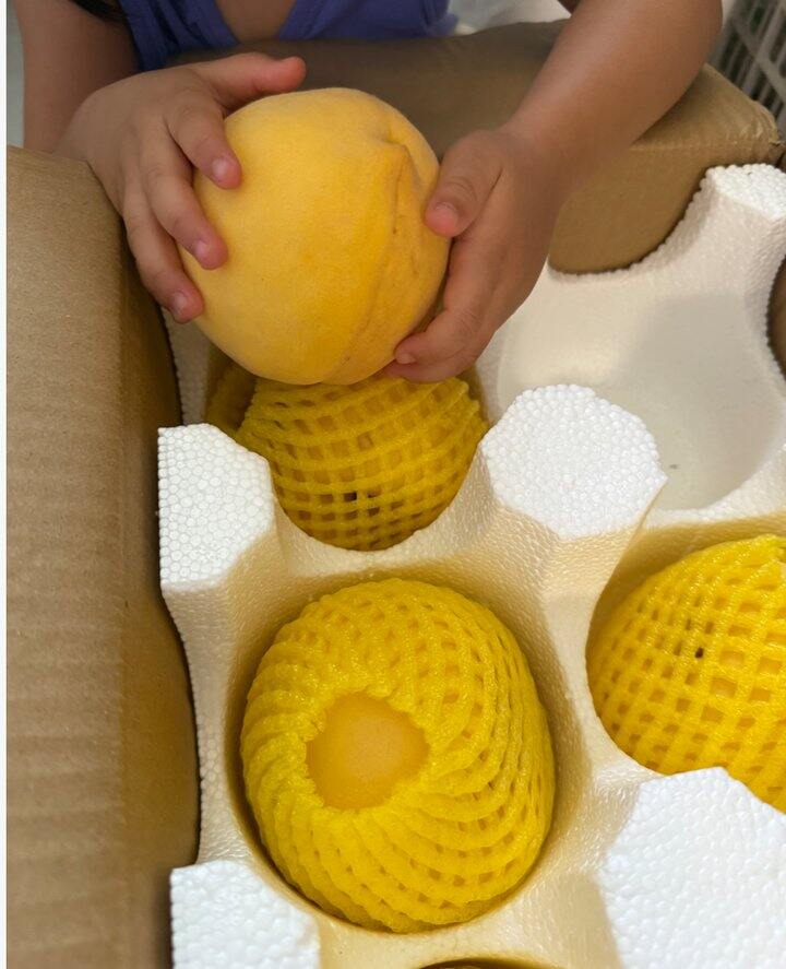 脆桃