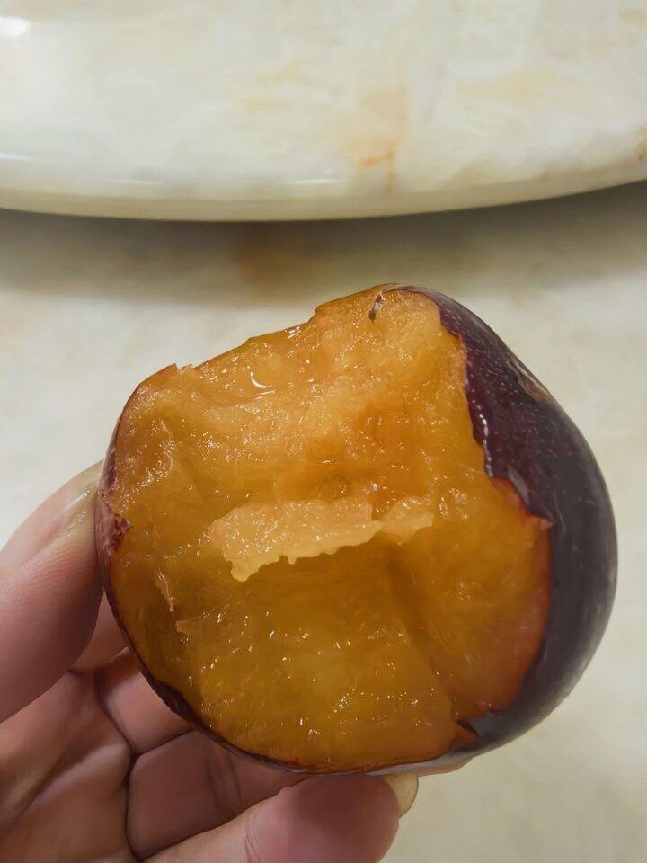 疆蜜李