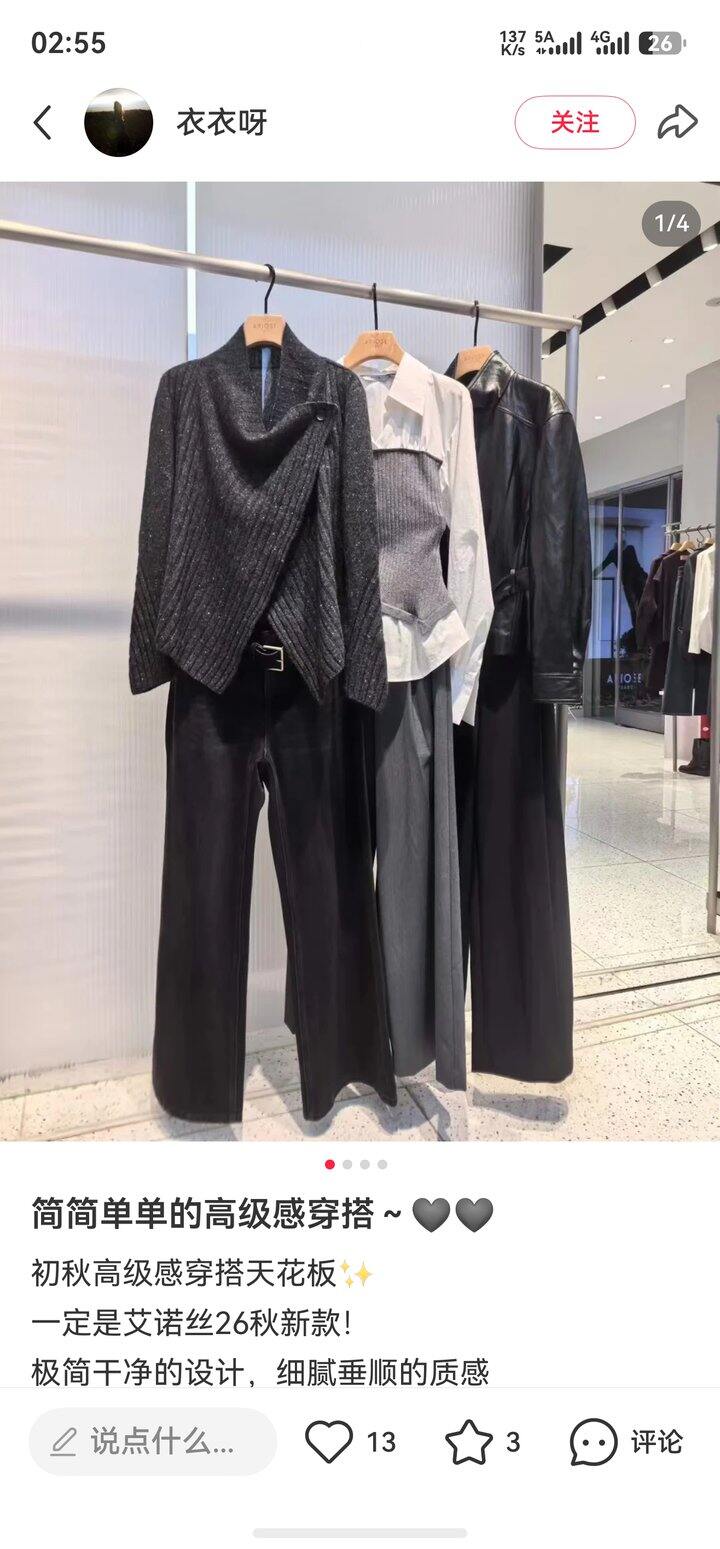 艾诺丝雅诗