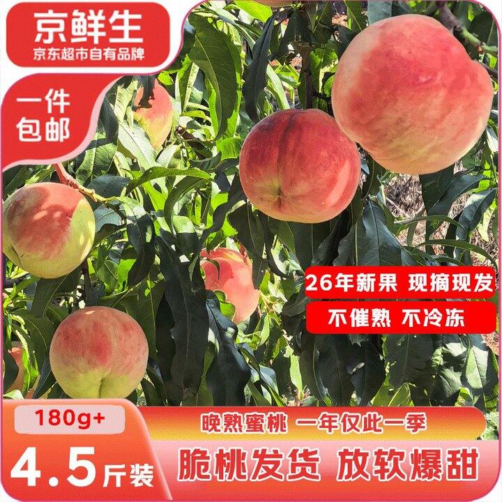 京鲜生 山东莱阳秋桃💰19.9