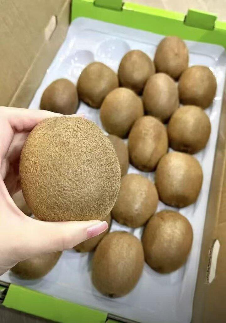 京鲜生翠香猕猴桃🥝  最大规格大果‼️