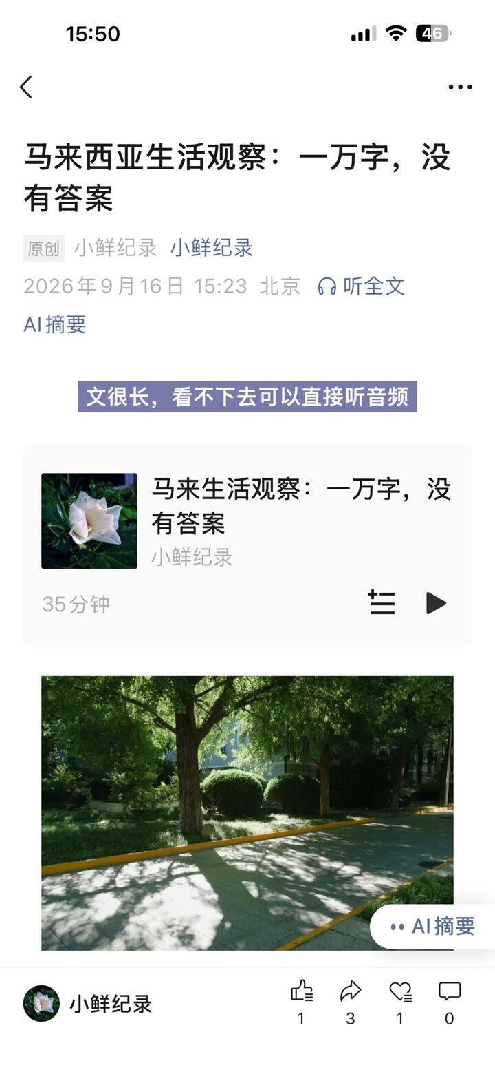马来生活观察