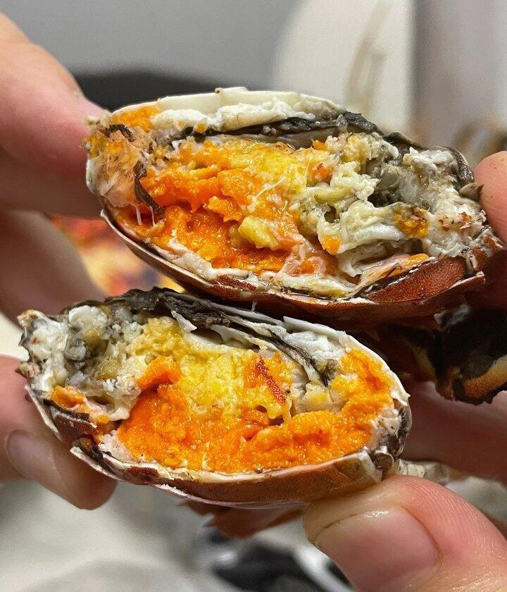 【东北盘锦稻田河蟹🦀】全母蟹限量尝鲜99元/箱25只左右