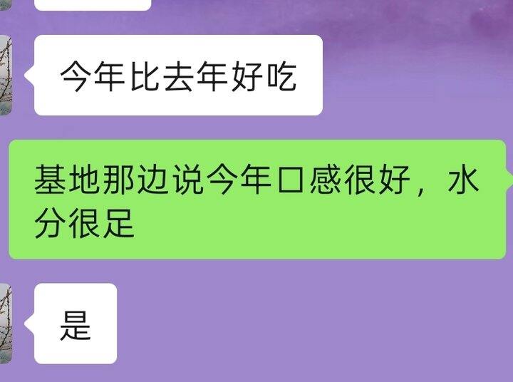 平和蜜柚