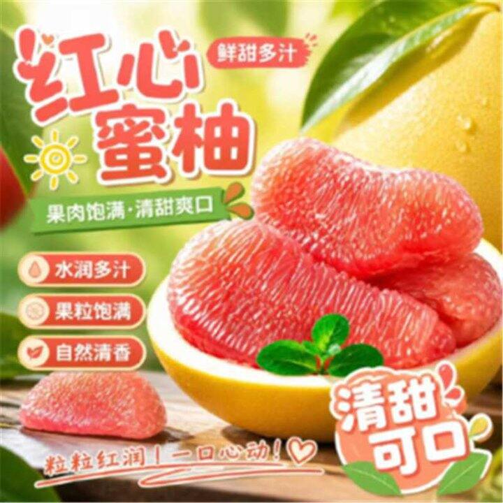 12.9！土八鲜 福建平和红心蜜柚4.5-5斤