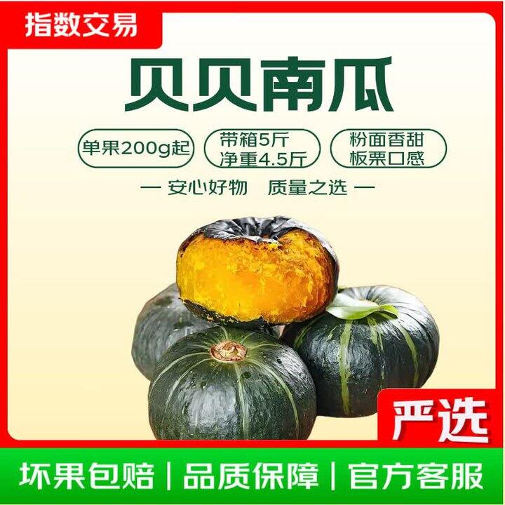 快❗️𝑩𝒖𝒈❗贝贝南瓜5斤💰5.99