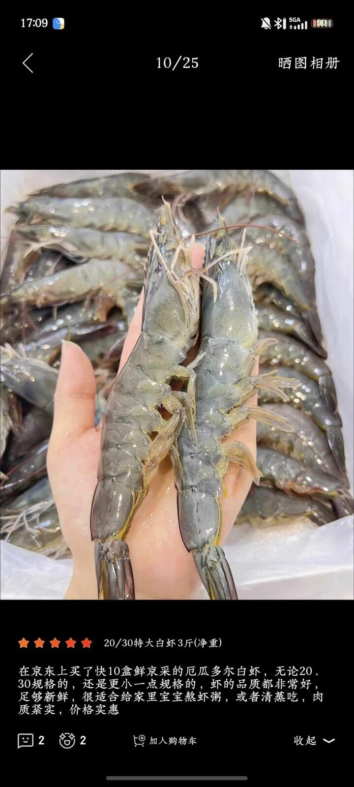 鲜京采厄瓜多尔特大号白虾🦐好价